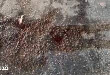 photo_٢٠٢٥-١٠-١٨_٢٠-٠٣-٠٢