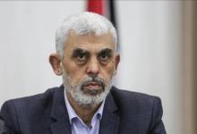 thumbs_b_c_ce82b8a56144cef60356092e977f0ae7