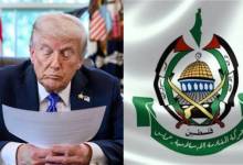 معرض صورتان (2)