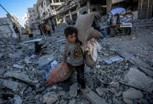 thumb_296899_1200_1200_0_0_auto