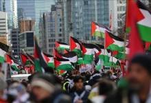 photo_٢٠٢٥-١١-٢٩_١٠-١٩-٥٠