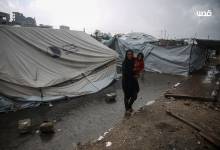 photo_٢٠٢٥-١١-١٥_١٣-١٩-٣٣