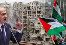 Screenshot 2025-11-13 214108