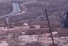 photo_٢٠٢٥-١١-٠١_١١-٠٢-٢٢