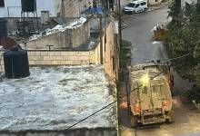 photo_٢٠٢٥-١٢-١٧_٠٧-١٣-٣٣