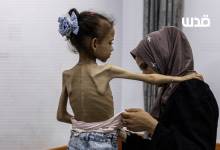 photo_2025-12-13_11-52-11