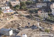 photo_٢٠٢٥-١٢-٠١_٠٧-٥٢-١٢