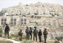 thumbs_b_c_b2db09e35fd1e6833035e4d0df39a5d8