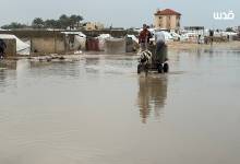 photo_٢٠٢٥-١٢-١٢_١٦-٢٩-٣٤