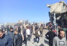 photo_2026-01-31_14-02-34