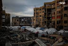 photo_٢٠٢٦-٠١-٠٥_٠٧-٠٢-٥٧