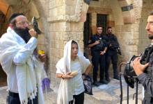 4ff996dd-eb98-4a60-9874-b0c693fa05ec-1694938369-1