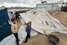 photo_٢٠٢٦-٠١-١٣_١٦-٤٠-١٢