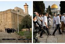 الاقصى والابراهيمي-6562bc06-356f-4af2-96ed-dcc3b44c759b