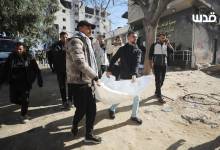 photo_2026-01-31_15-29-51