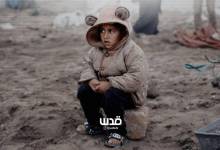 photo_٢٠٢٦-٠١-٢٢_١٩-٢٤-٥١