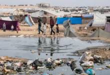 bbc07720-0db1-11ef-b9d8-4f52aebe147d.jpg (1)