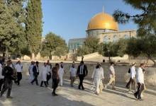 thumbs_b_c_1438f0aed6ced3fc82cc303bd6bc0a0e (1)