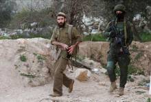 thumbs_b_c_aad219a3bccdb9727d8aab249692d388