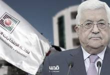 photo_٢٠٢٦-٠١-٢٤_١٦-١٩-٢١