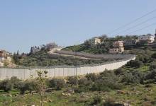 قلقيلية 3-542da3b8-fdc5-40e4-bbe4-0fe9fe54f973