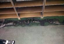 photo_٢٠٢٦-٠٢-٢٣_٠٨-٣٠-٥٠