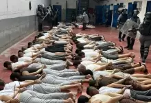 QiBFHCFZseG7qy66XYXf-1762174668 (1)