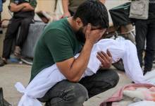 thumbs_b_c_3f99cc86c338a5197635e6730389a72b