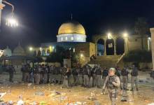 71ef6c6a-f305-4fa1-9388-b54cd8adc727