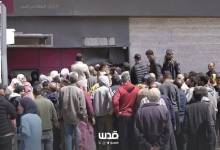 photo_2026-02-12_16-00-29