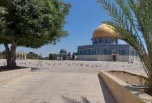 506519788_1055851623398880_8983424984194273749_n-5b8b7e0c-153f-41cc-8c20-2376dd3950a8