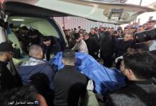 photo_2026-02-02_16-55-21