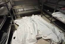 photo_2026-02-15_08-34-52