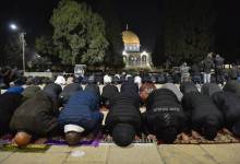 photo_٢٠٢٦-٠٢-١٧_١٩-٣٤-٠٦