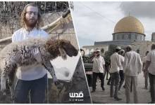 photo_2026-03-30_17-08-59