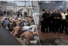 photo_2026-03-25_22-31-07