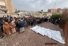 photo_2026-03-29_09-41-51