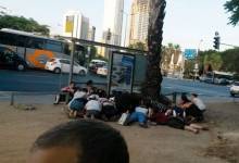 20140708_190459_jpg_wa4