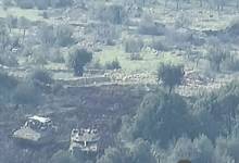 photo_2026-03-04_12-10-00