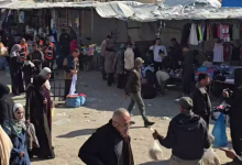 Screenshot 2026-03-05 210408