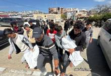 photo_2026-03-31_13-49-02