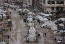 photo_2026-03-26_09-35-25