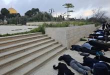 photo_٢٠٢٦-٠٤-٠٩_٠٩-٥٩-٥٩