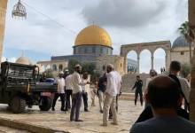 photo_2026-04-14_12-30-10