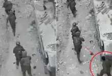 nbnbnbnbn-1775982123