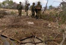 12025482859866920662