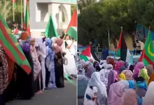 يدذطيسشي-1775109581