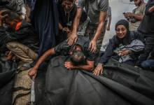 photo_2026-04-05_09-29-20