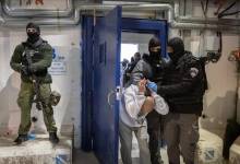 thumbs_b_c_01fa261f50ae49b4d79420e814137974