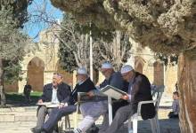 photo_2026-04-10_16-13-52